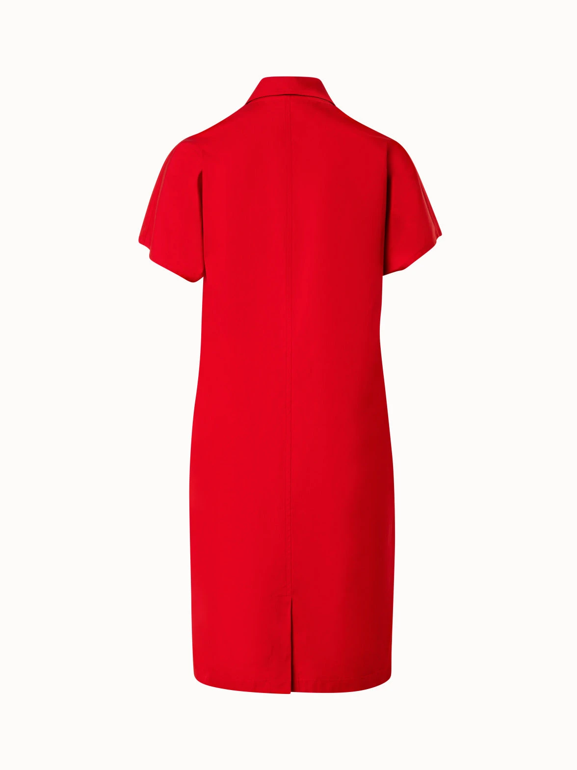 Cotton Stretch Gabardine Dress With Biker Collar 5 Cotton Stretch Gabardine Dress With Biker Collar - Image 3